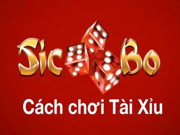 Cách chơi tài xỉu nhà cái uy tín dành cho người mới