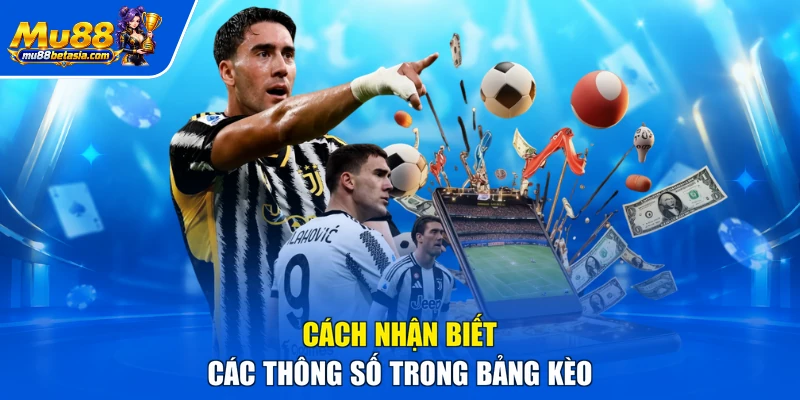 Cách nhận biết các thông số trong bảng kèo