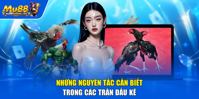 Những nguyên tắc cần biết trong các trận đấu kê