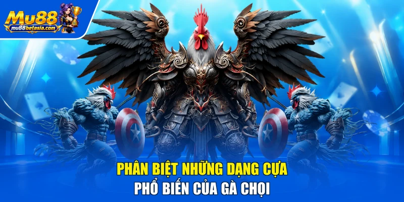 Phân biệt những dạng cựa phổ biến của gà chọi