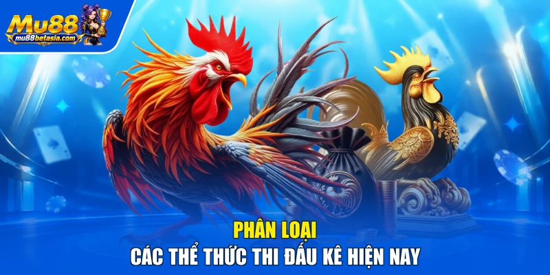 Phân loại các thể thức thi đấu kê hiện nay